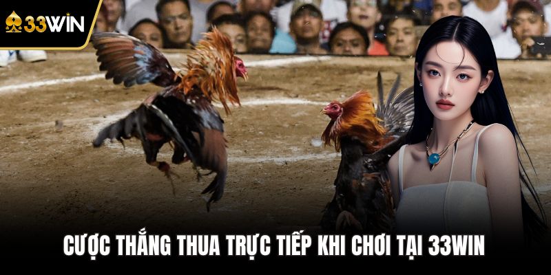 Cược thắng thua trực tiếp khi chơi tại 33WIN 