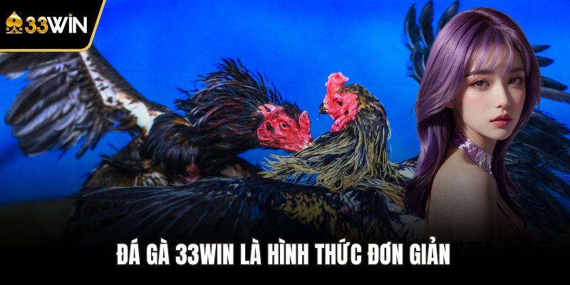 Đá gà 33WIN là hình thức đơn giản 
